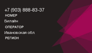 9038888337